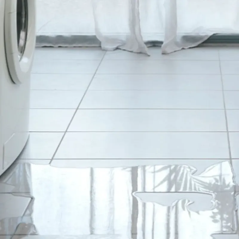 Appliance Leak Cleanup in Strafford County, NH