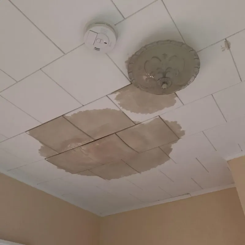 Ceiling Water Damage Repair in Strafford County, NH