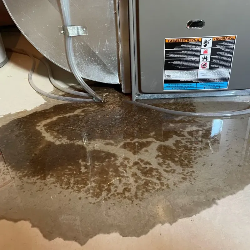 Pipe Burst and Leak Restoration in Strafford County, NH